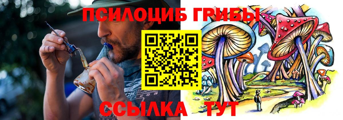 Тулун  Галлюциногенные грибы ЛСД  Галлюциногенные грибы мицелий  что такое наркотик  Вход с VPN 