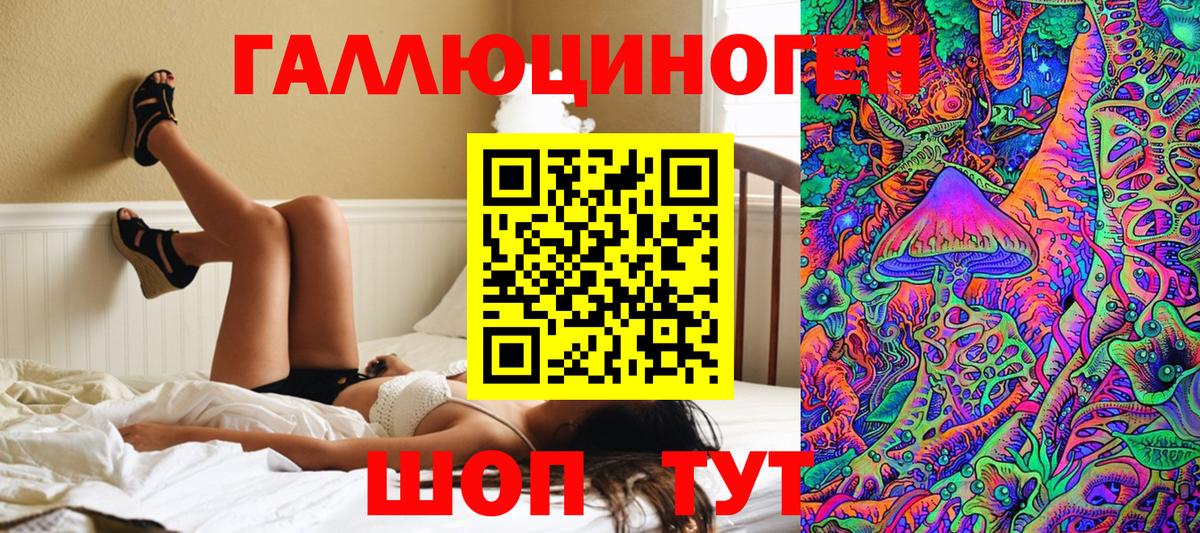 Псилоцибиновые грибы Psilocybe Тулун